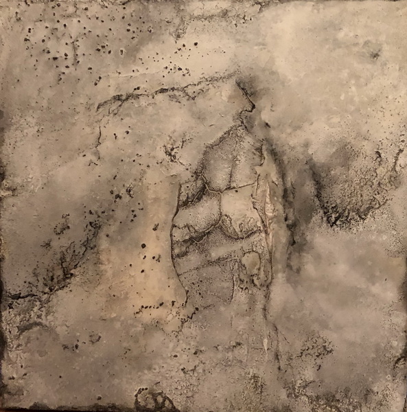 2018 Petrified Series - Wooden Soul - Modulation in weiß-grau Kaffee, Kasein, Hautleim, Marmormehl 70x70x4